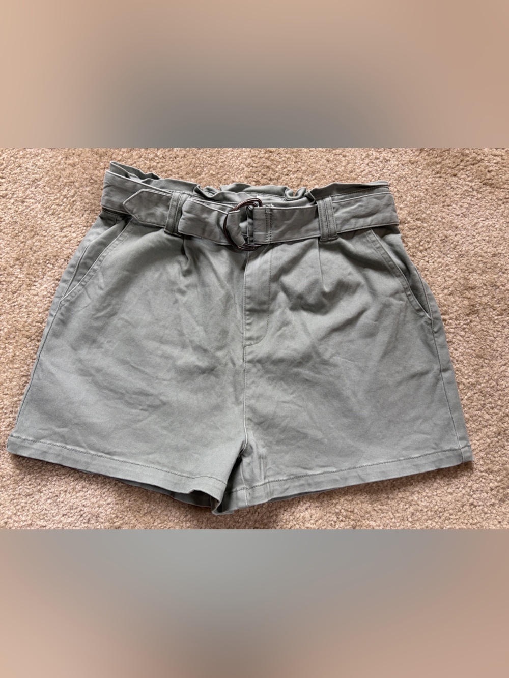 Francesca's Collections Blue Rain Light Olive Green Waist Shorts